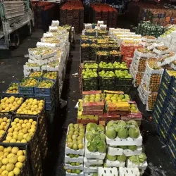 Al Quwaysimah Central Market - Al Quwaysimah