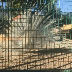 Prince Hashem Park - Al Quwaysimah