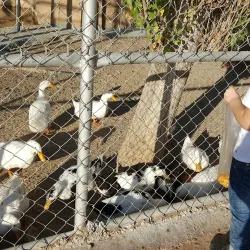 Prince Hashem Park - Al Quwaysimah