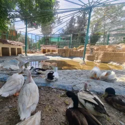 Prince Hashem Park - Al Quwaysimah