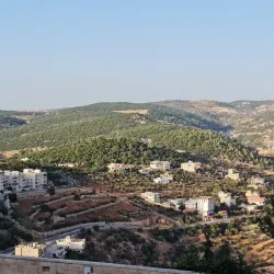 Ajloun Castle - 'anjarah