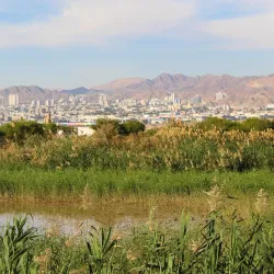 Aqaba Bird Observatory - Aqaba (Aquaba