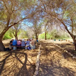 Aqaba Bird Observatory - Aqaba (Aquaba