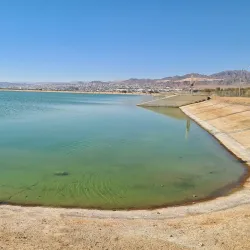 Aqaba Bird Observatory - Aqaba (Aquaba