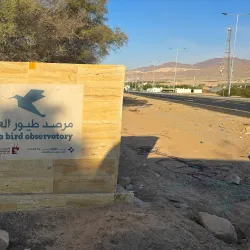 Aqaba Bird Observatory - Aqaba (Aquaba