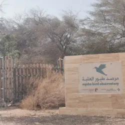 Aqaba Bird Observatory - Aqaba (Aquaba