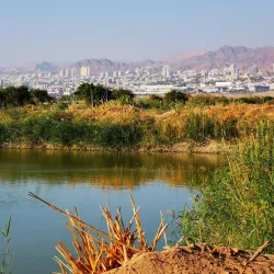 Aqaba Bird Observatory - Aqaba (Aquaba
