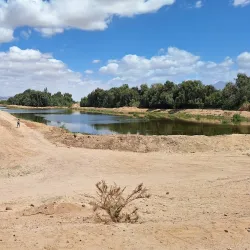 Aqaba Bird Observatory - Aqaba (Aquaba
