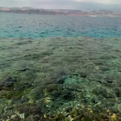 South Beach - Aqaba (Aquaba