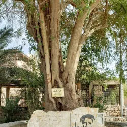 The Aqaba Archaeological Museum - Aqaba (Aquaba