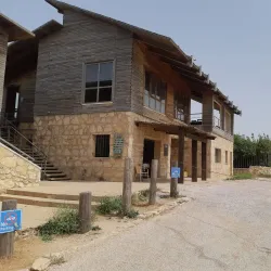 Ajloun Forest Reserve - 'ayn Janna