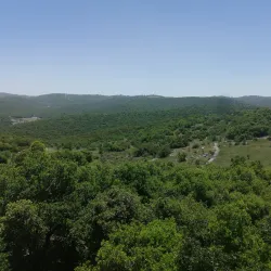 Ajloun Visitor Center - 'ayn Janna