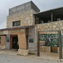 Ajloun Visitor Center - 'ayn Janna