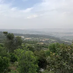 Dibeen Forest Reserve - 'ayn Janna