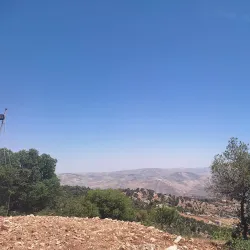 Dibeen Forest Reserve - 'ayn Janna