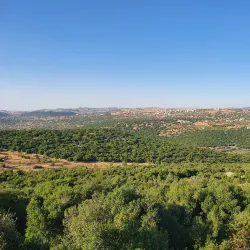 Hiking Trails Around Ayn Janna - 'ayn Janna