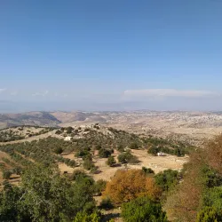 Tell Mar Elias - 'ayy