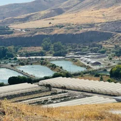 Yarmouk River Gorge - 'ayy