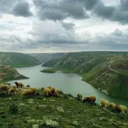 Yarmouk River Gorge - 'ayy
