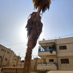 Az-Zarqa' Cultural Center - Az-zarqa'