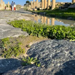 Tell Irbid (Ancient Irbid) - Irbid