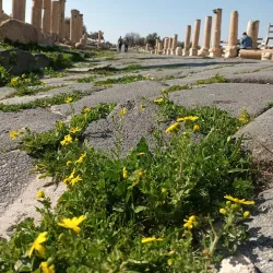 Umm Qais (Gadara) - Irbid