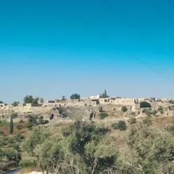 Umm Qais (Gadara) - Irbid