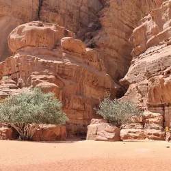 Wadi Rum Desert - Jawa
