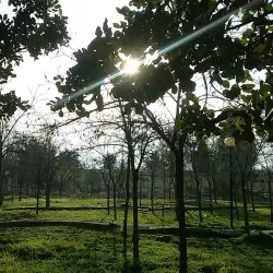 Al-Hussein Bin Ali Park - Ramtha