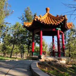 Al-Hussein Bin Ali Park - Ramtha