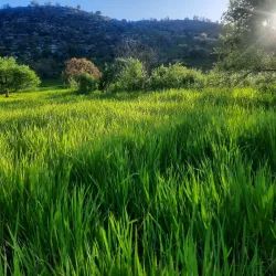 Nearby Nature Reserves - Ramtha