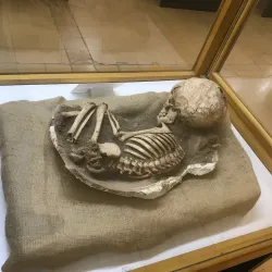 Northern Jordan Archaeological Museum - Ramtha