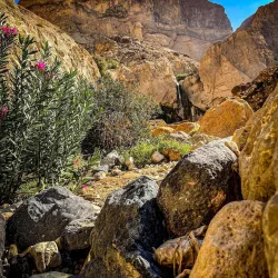 Hiking Trails in the Surrounding Hills - Umm As-summaq