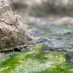 Hiking Trails in the Surrounding Hills - Umm As-summaq