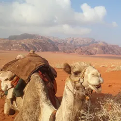 Agricultural Tours - Wadi As Sir