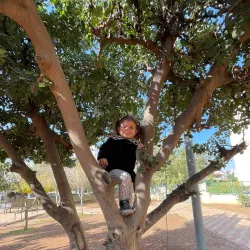 Nearby Amman Parks - Wadi As Sir