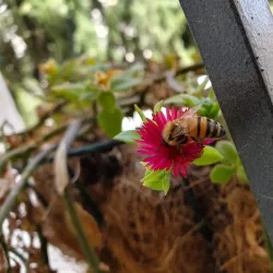 Nearby Amman Parks - Wadi As Sir