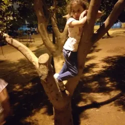 Nearby Amman Parks - Wadi As Sir