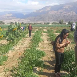 Wadi As Sir Hiking Trails - Wadi As Sir