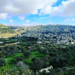 Wadi As Sir Stream and Natural Pools - Wadi As Sir