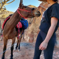 Mount Aaron (Jebel Haroun) - Wadi Musa