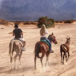 Mount Aaron (Jebel Haroun) - Wadi Musa