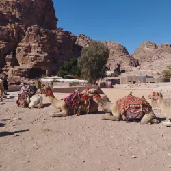 The Monastery (Ad-Deir) - Wadi Musa