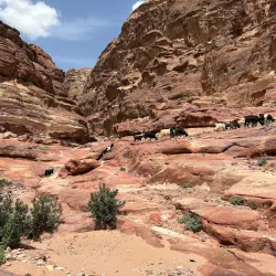 The Monastery (Ad-Deir) - Wadi Musa