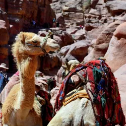 The Monastery (Ad-Deir) - Wadi Musa