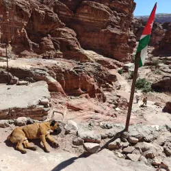 The Monastery (Ad-Deir) - Wadi Musa
