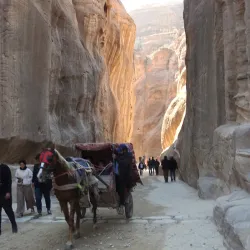 The Siq - Wadi Musa