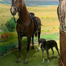 Aktobe Regional Museum of Local Lore - Aktobe