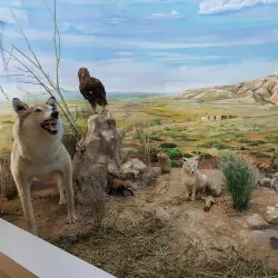 Aktobe Regional Museum of Local Lore - Aktobe