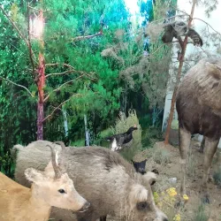 Aktobe Regional Museum of Local Lore - Aktobe